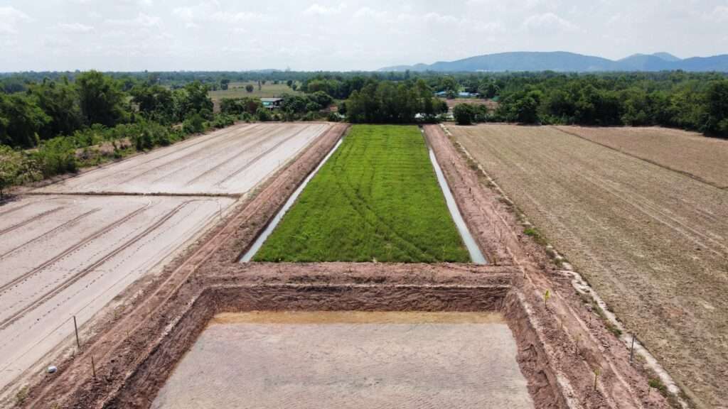 ระบบจัดการน้ำและปรับรูปแปลงนาทุ่งรังสิต แก้ไขปัญหาดินเปรี้ยวจัด กรมพัฒนาที่ดิน