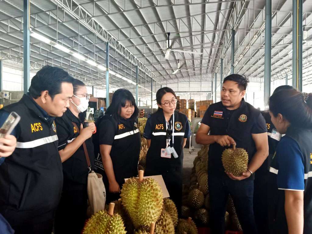 เจ้าหน้าที่จากกรมวิชาการเกษตรและ มกอช. ลงพื้นที่ตรวจสอบคุณภาพทุเรียนภายในโรงคัดบรรจุ (ล้ง)