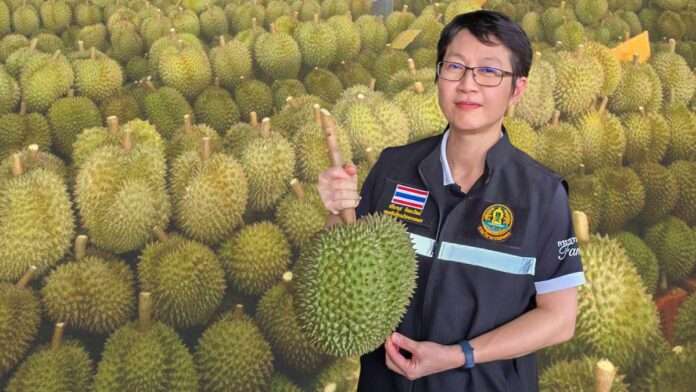 นางสาวปรียานุช ทิพยะวัฒน์ รองอธิบดีกรมวิชาการเกษตร ยืนยันนโยบายปราบปรามทุเรียนอ่อนภาคตะวันออก