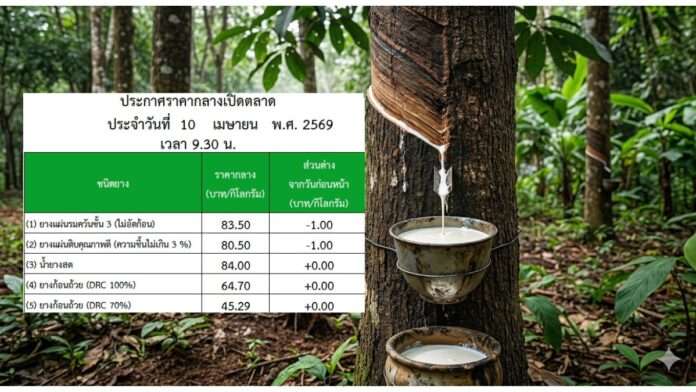 ตารางราคากลางยางพาราวันที่ 10 เมษายน 2569 น้ำยางสดราคา 84 บาท ยางแผ่นรมควัน 83.50 บาท