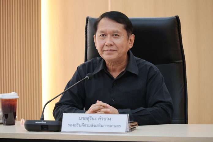 suriya-khampuang-doae-ai-grassroots-economy-2026 นายสุริยะ คำปวง รองอธิบดีกรมส่งเสริมการเกษตร นั่งแถลงนโยบายขับเคลื่อนการใช้ AI พัฒนาวิสาหกิจชุมชน