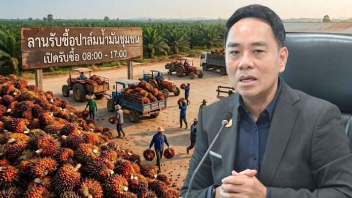 อธิบดีกรมการค้าภายในสั่งคุมเข้มการรับซื้อปาล์มน้ำมันหลังช่วงเทศกาลสงกรานต์