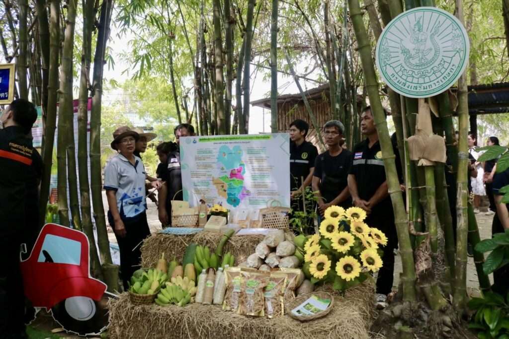 บูธจัดแสดงผลผลิตทางการเกษตรสดใหม่และสินค้าแปรรูปของชุมชน เช่น กล้วย มะละกอ และผลิตภัณฑ์จากไผ่ ท่ามกลางบรรยากาศร่มรื่นของสวนไผ่