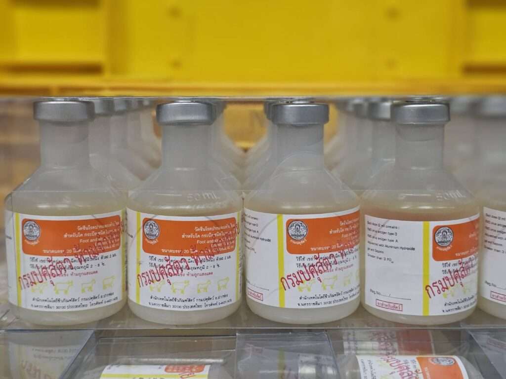 ขวดวัคซีนโรคปากและเท้าเปื่อย (FMD) ของกรมปศุสัตว์