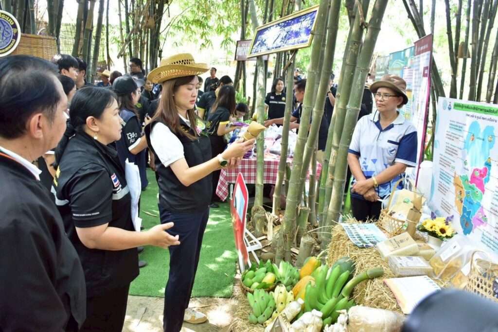 นางสาวปิยะรัฐชย์ ติยะไพรัช รัฐมนตรีช่วยว่าการกระทรวงเกษตรและสหกรณ์ สวมหมวกสาน กำลังพิจารณาผลิตภัณฑ์แปรรูปจากชุมชนที่บูธจัดแสดงสินค้ากลางสวนไผ่